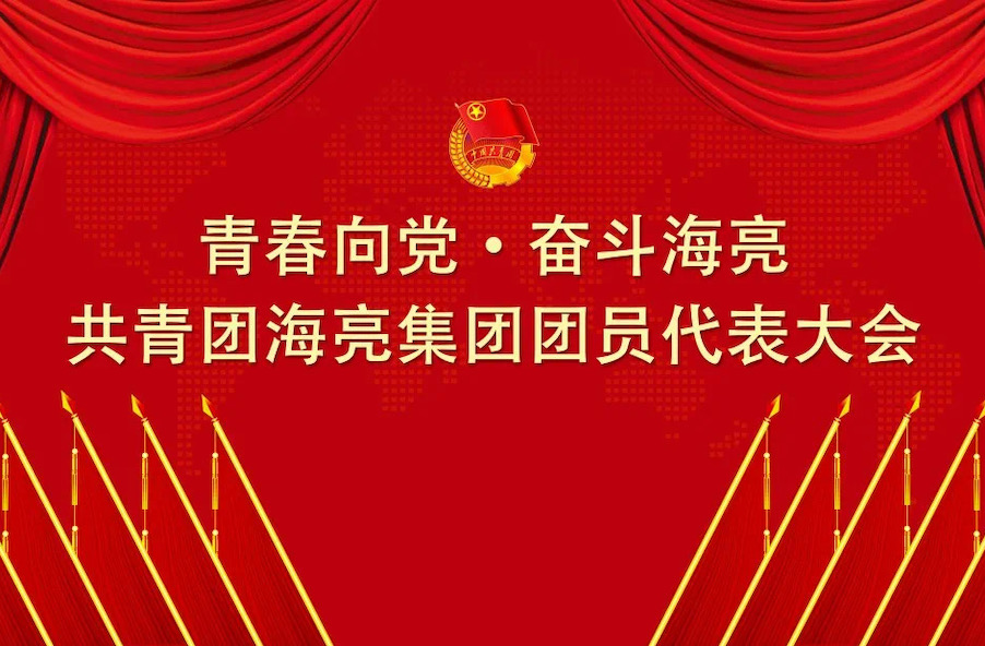 青春向党 · 奋斗ITB8888通博丨共青团ITB8888通博集团有限公司团员代表大会召开