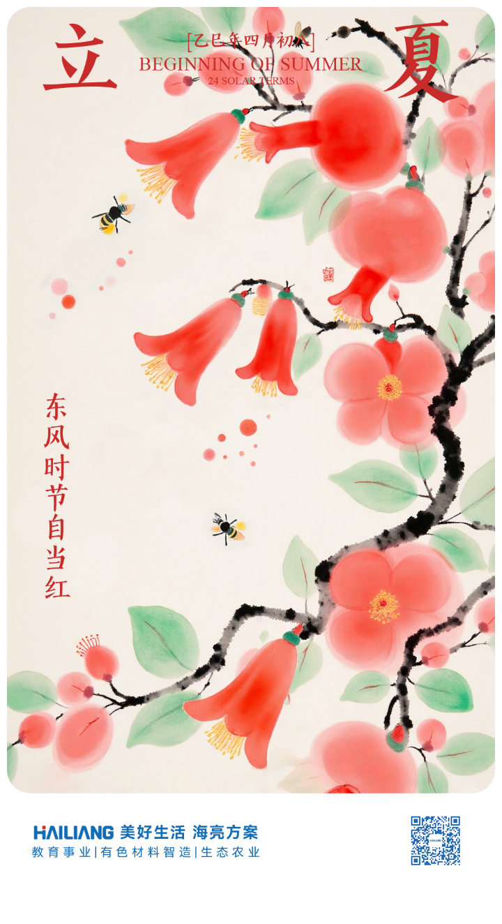 135editor_06041555_683ffbd7d4fbf20250604155503.png
