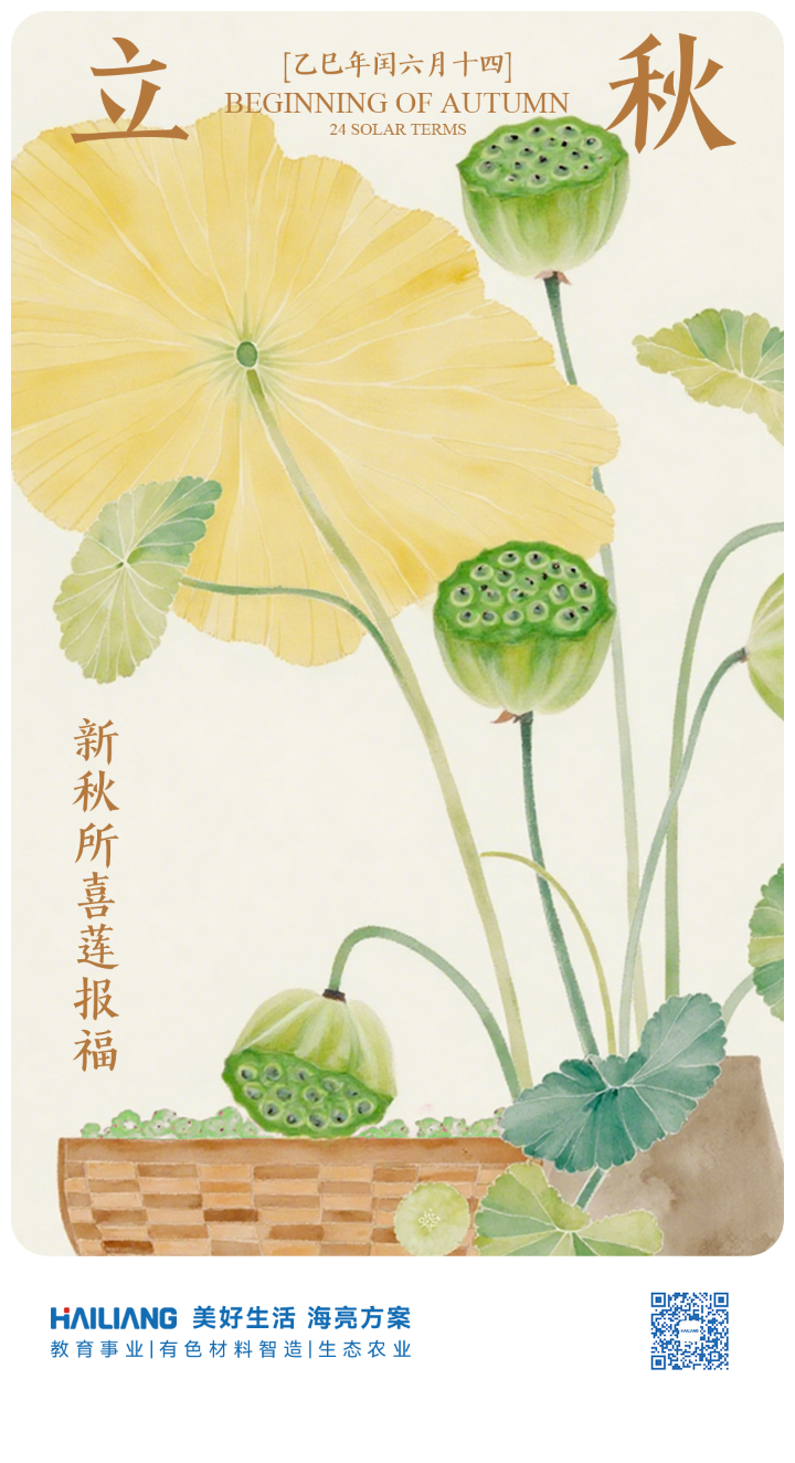 135editor_08071527_68945576b6cf920250807152750.png